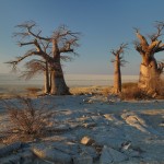 Vita Krsul - Namibia_Makgadikgadi