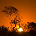 Zuzana Samkova - zapad slunce v Serengeti