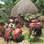 Yit Kampak - papua - vareni batatu v horkych kamenech