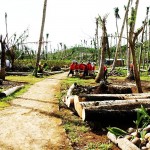 Filipiny - po tajfunu (5)