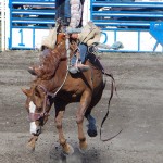 VLADIMIR PRACHAR - kanada - Canada_rodeo
