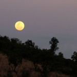 Martin Sil - afrika - mesic nad afrikou
