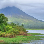 Rani Tolimat - kostarika (10)