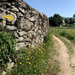 Michaela Krasna - camino de santiago (6)