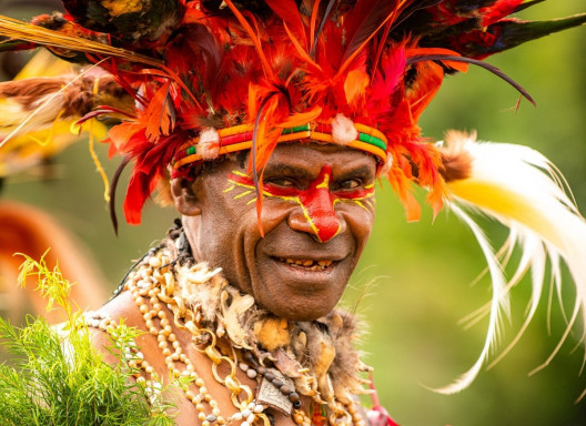papua karel wolf