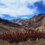 Radka Tkacikova - ladakh (1)