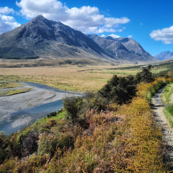 merisi - novy zeland