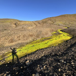 ALENA MAHLEJOVA - island (13) ALENA MAHLEJOVA - island (13)