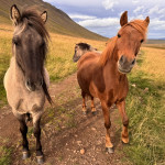 ALENA MAHLEJOVA - island (19) ALENA MAHLEJOVA - island (19)