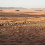 Filip Mayer - mds trek (4)