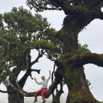 KAREL WOLF - madeira azory (1a) KAREL WOLF - madeira azory (1a)