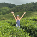 KAREL WOLF - madeira azory (2b) KAREL WOLF - madeira azory (2b)