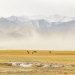 Lukas Zeman - ladakh (14)