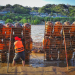 Martin Pulpan - Cina (2) Martin Pulpan - Cina (2)