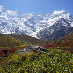 Petr Rabusic - pakistan (4)