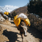 Teru Menclova - nepal  (12)