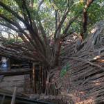 Vitek Hosenseidl - taiwan (4)