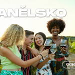 Viñedo-en-El-Garraf_-Barcelona_1920x1080px Viñedo-en-El-Garraf_-Barcelona_1920x1080px