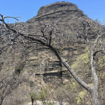 Alexandra Cavojska - mexiko (6)