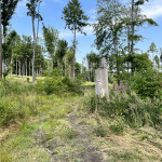 Filip Jelinek - cesko (4) Filip Jelinek - cesko (4)