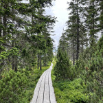 Filip Jelinek - cesko (9) Filip Jelinek - cesko (9)