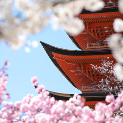 Jan Brezina - japonsko (1)