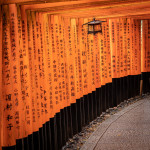 Jan Brezina - japonsko (2)