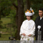 Jan Brezina - japonsko (3)