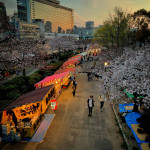 Jan Brezina - japonsko (6)