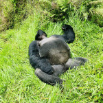 Jiri Kafka - uganda (2)