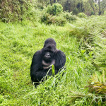 Jiri Kafka - uganda (4)