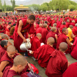 Karel Stepanek - indie (8) Karel Stepanek - indie (8)