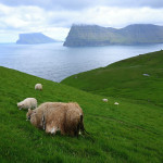 MAREK KOVAR - faery (1)