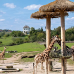 Petr Fejk - Zoo Praha 2009 1