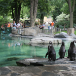 Petr Fejk - Zoo Praha 2009 2