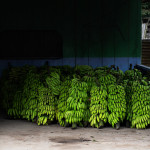 Petr Hingar - Nikaragua (12)