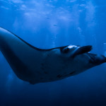 Tomas Choc - taiwan (10)