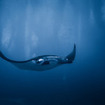 Tomas Choc - taiwan (12)