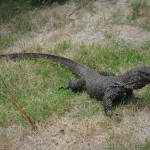 Tomáš Petrů - malajsie (5)