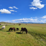 Vladimir Vachal - mongolsko (2) Vladimir Vachal - mongolsko (2)