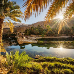 pavel svoboda - oman pavel svoboda - oman