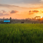 Adam Micka - jv asie (19) Adam Micka - jv asie (19)