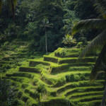 Adam Micka - jv asie (6) Adam Micka - jv asie (6)