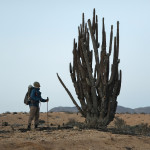 Ivan Mitrus - atacama (11)