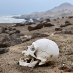 Ivan Mitrus - atacama (7)