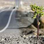 Ivan Mitrus - atacama (9)