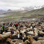 libor dusek - pakistan (2)