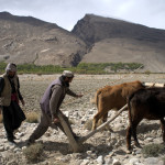 Libor Dusek - afghanistan (4) Libor Dusek - afghanistan (4)