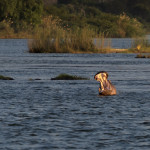 Marie Imbrova - zimbabwe (6)