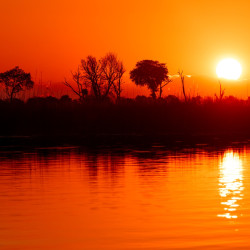 PETR JAN JURACKA - afrika botswana (11)